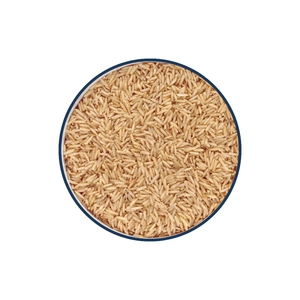 Brown Rice | Premium Quality | France AJ Group Ltd